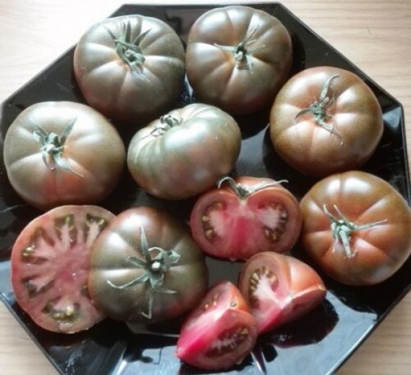 Tomate 'Marmande', dunkel gestreift, 20 Samen